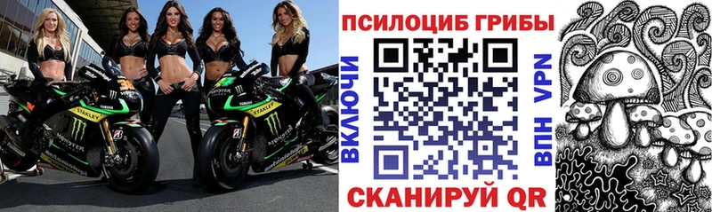 Купить  Ишим  Галлюциногенные грибы Psilocybe 